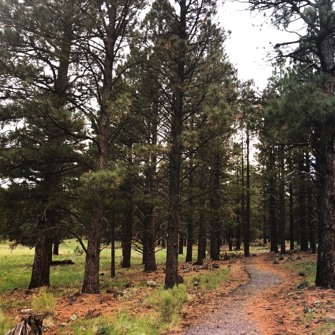 HipstamaticPhoto-556594591.349824