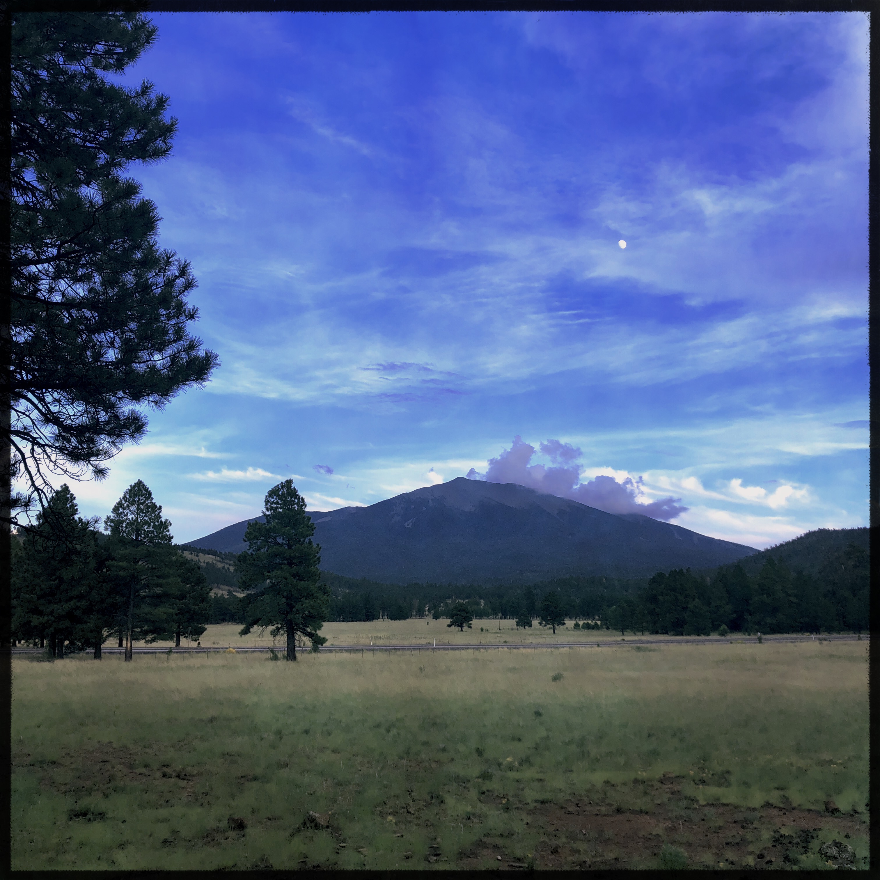 HipstamaticPhoto-556594604.116785