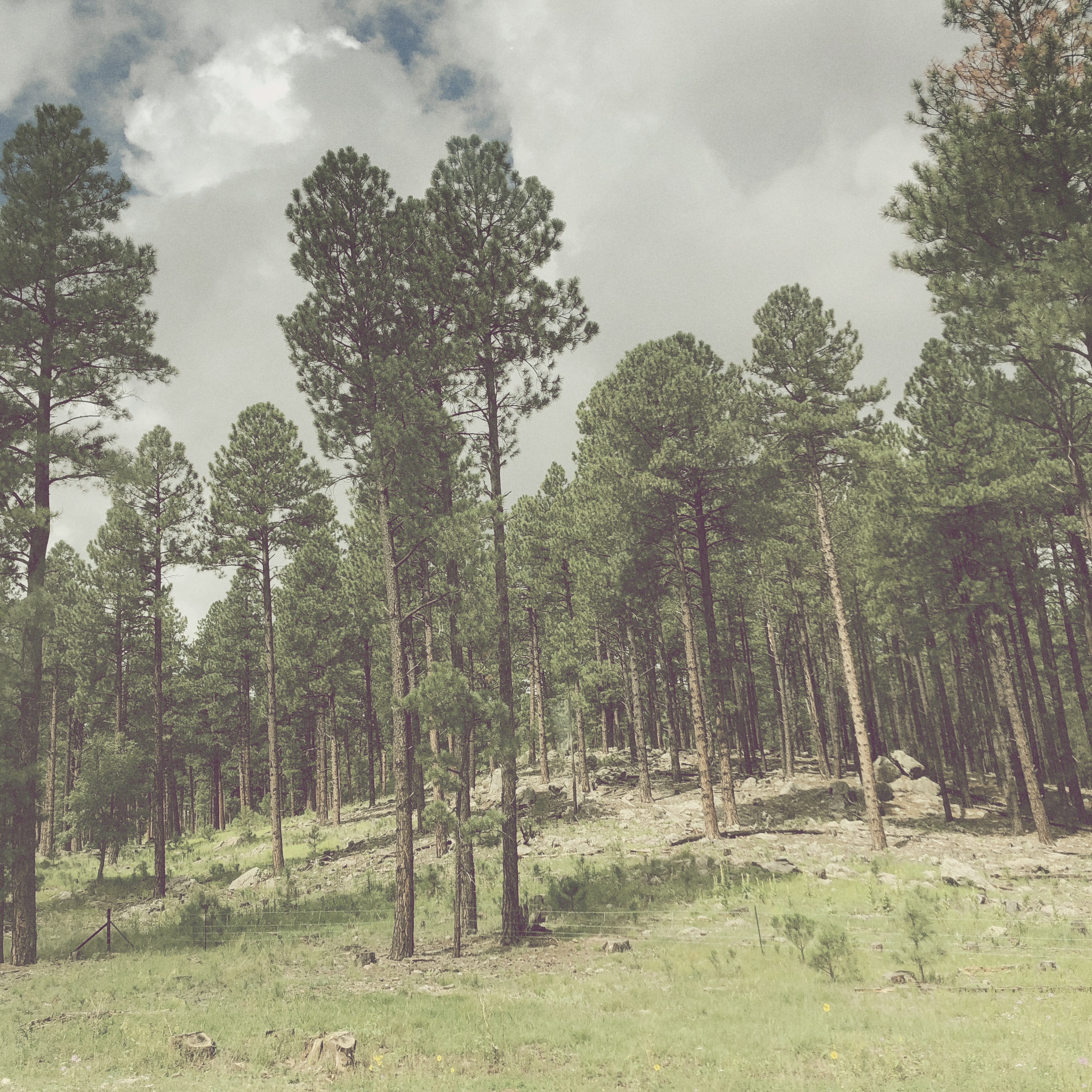 HipstamaticPhoto-556652131.291243