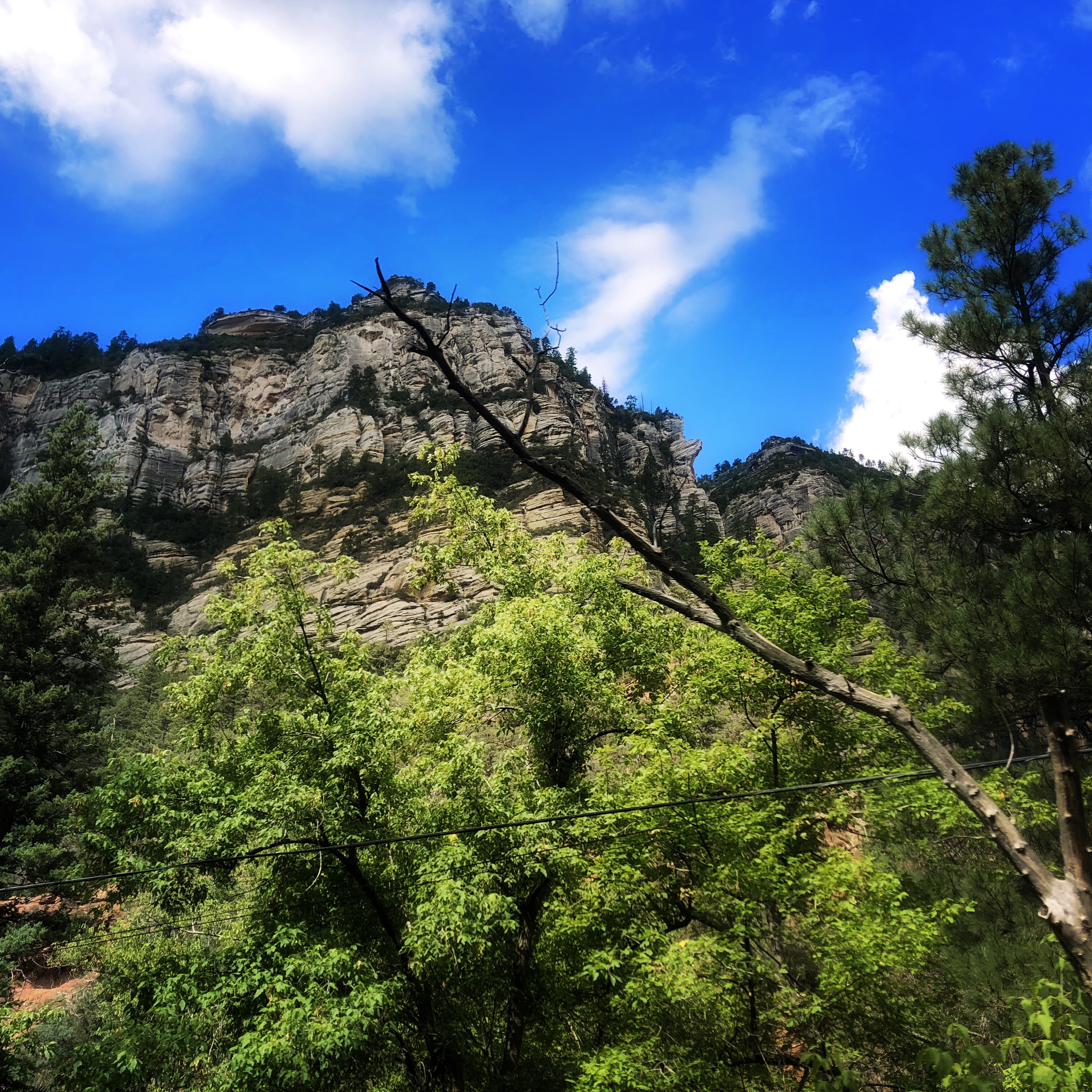 HipstamaticPhoto-556653280.307881