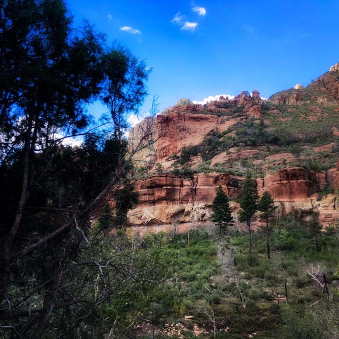 HipstamaticPhoto-556653537.013503