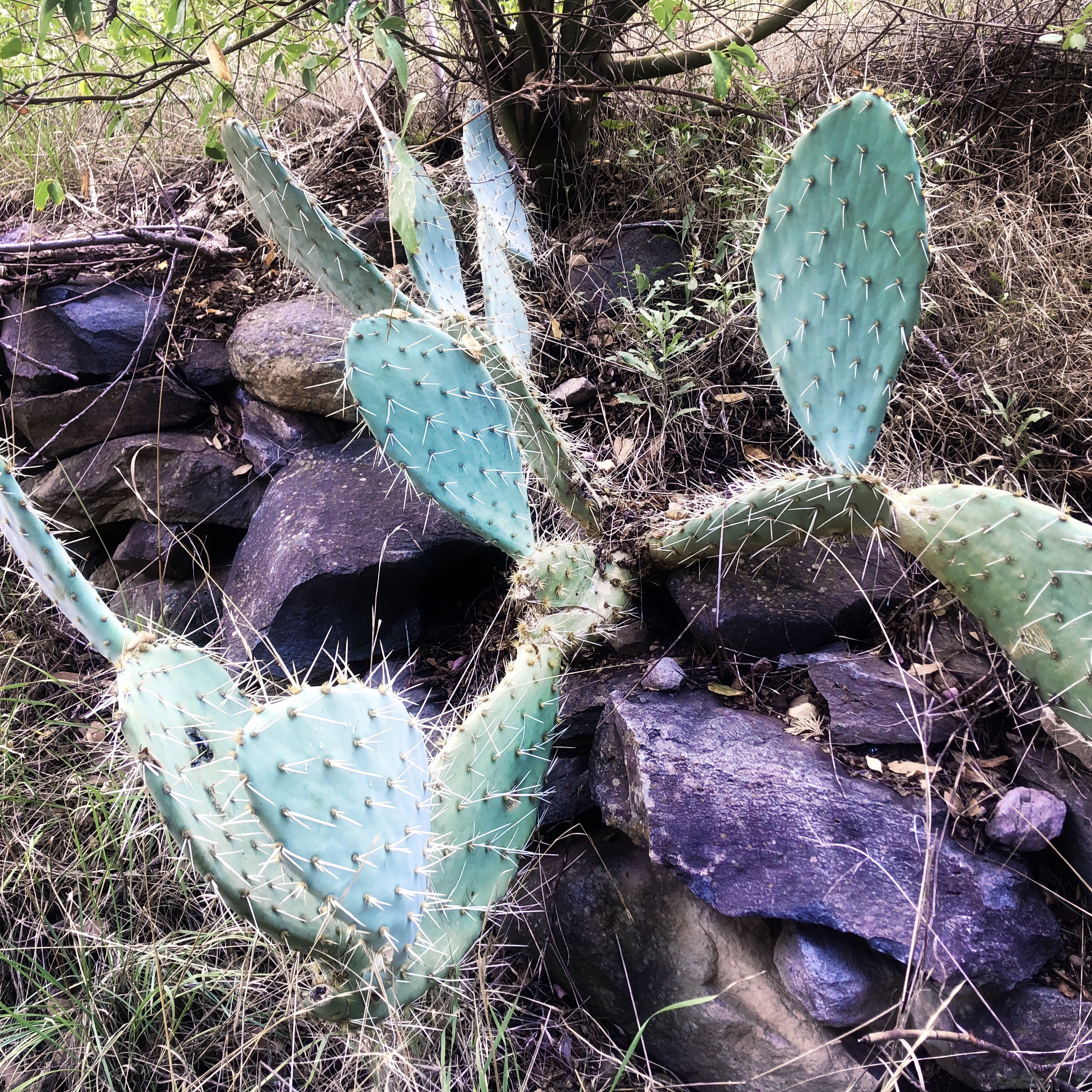 HipstamaticPhoto-556653699.476610