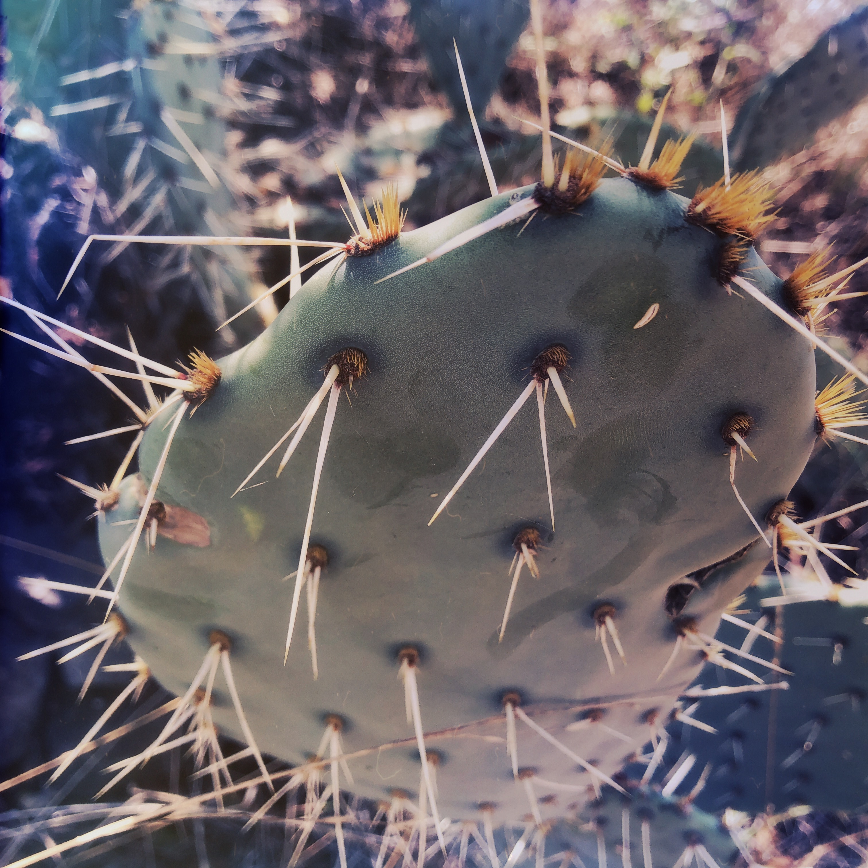 HipstamaticPhoto-556654290.364468