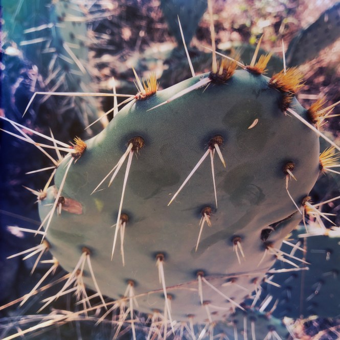 HipstamaticPhoto-556654290.364468