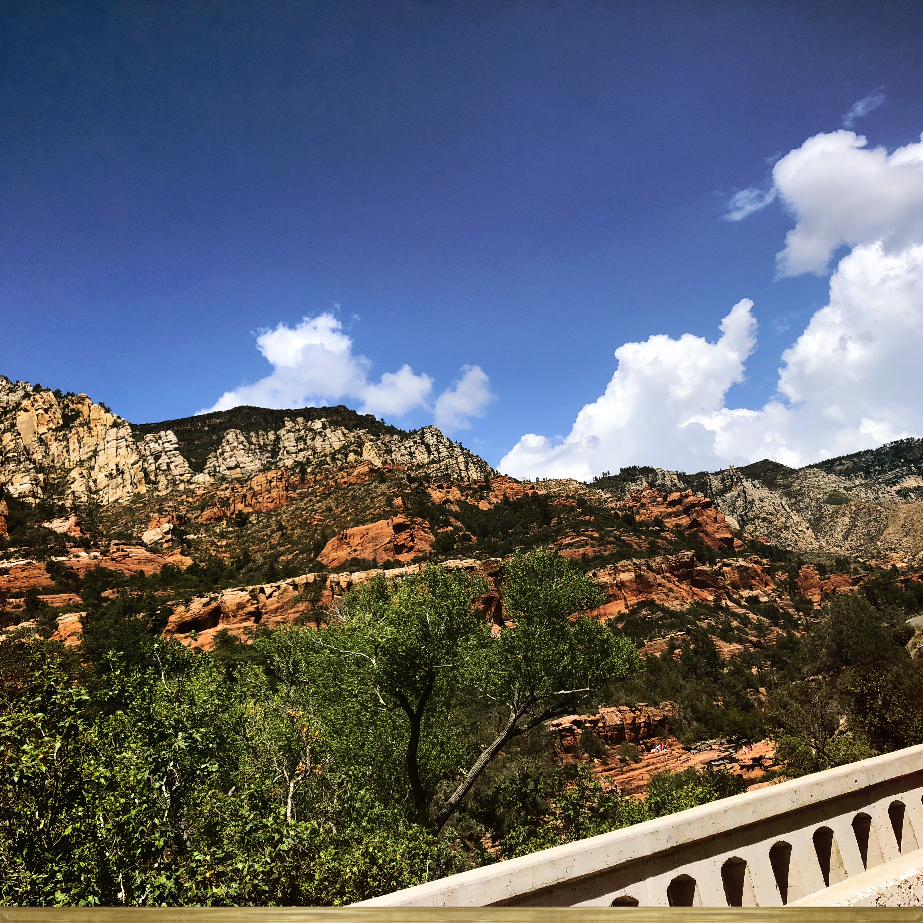 HipstamaticPhoto-556654406.791157