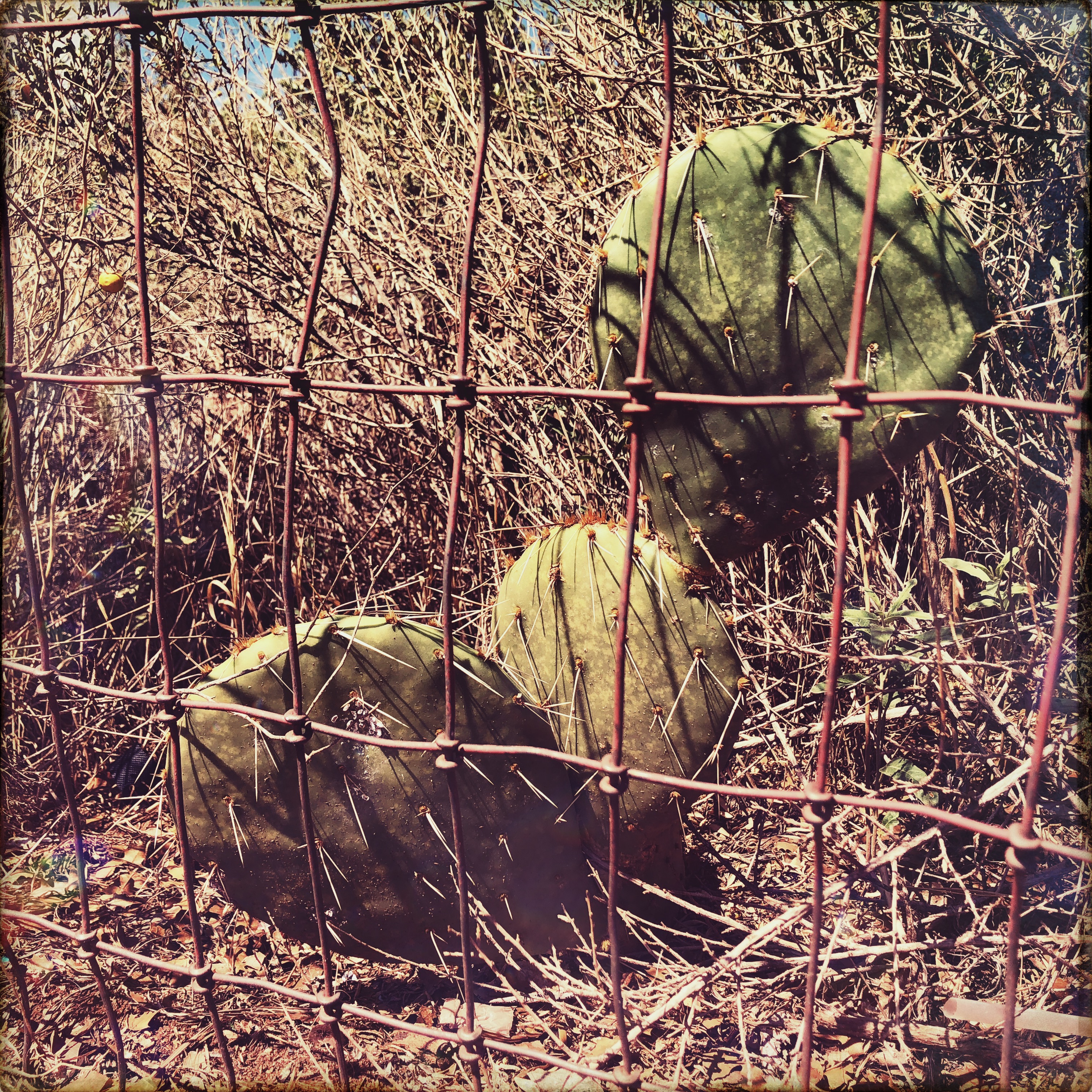 HipstamaticPhoto-556655025.614814