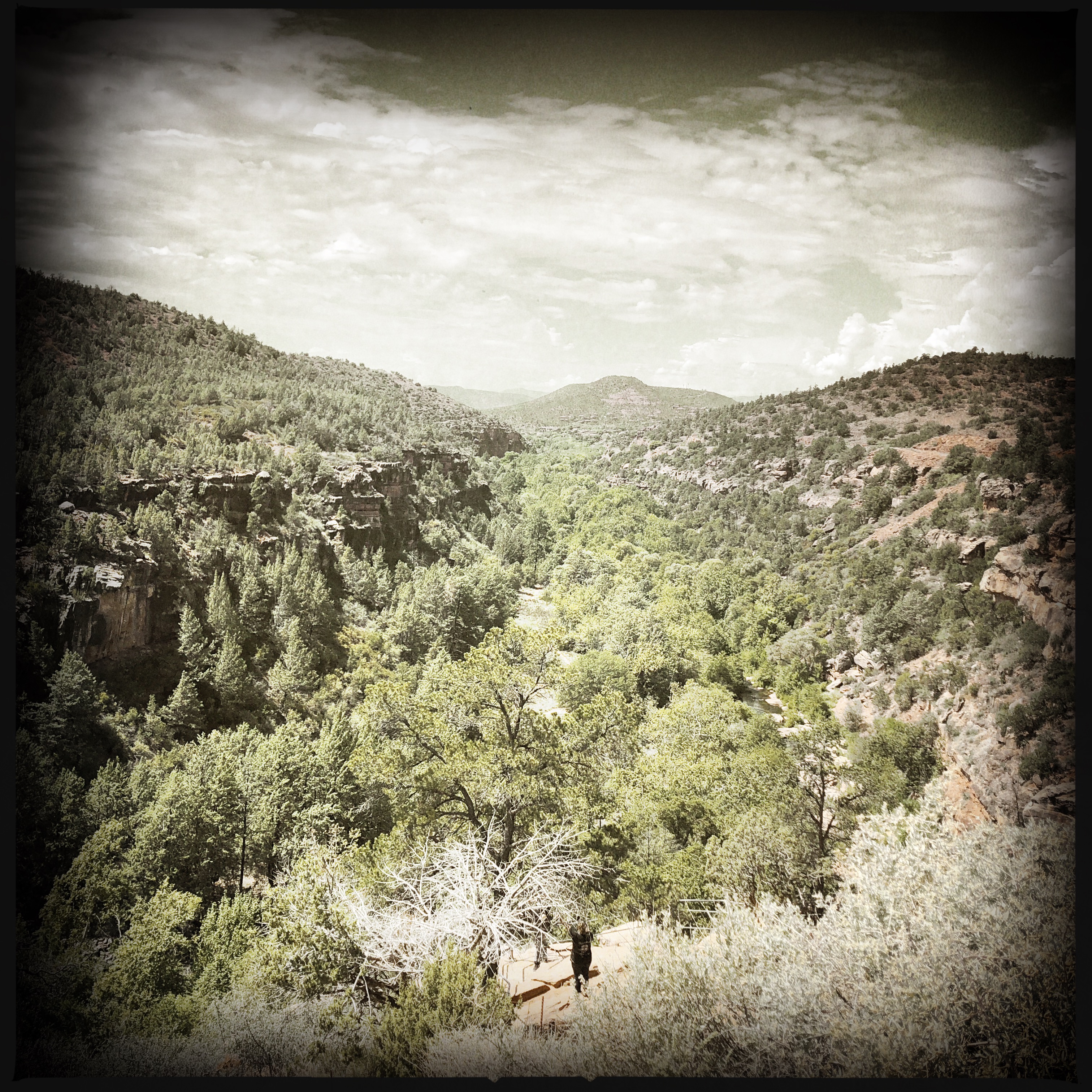 HipstamaticPhoto-556655065.372008