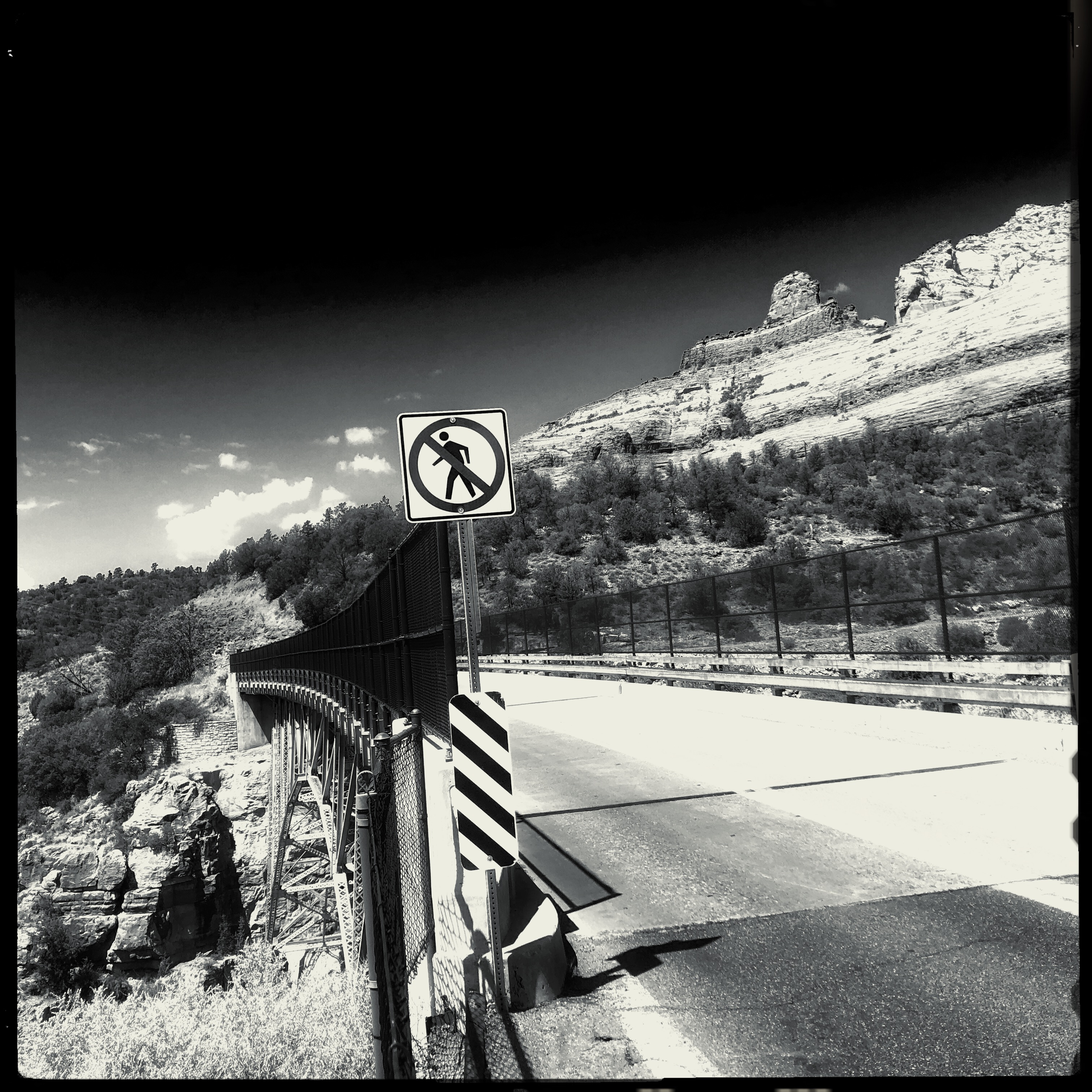 HipstamaticPhoto-556655078.723066