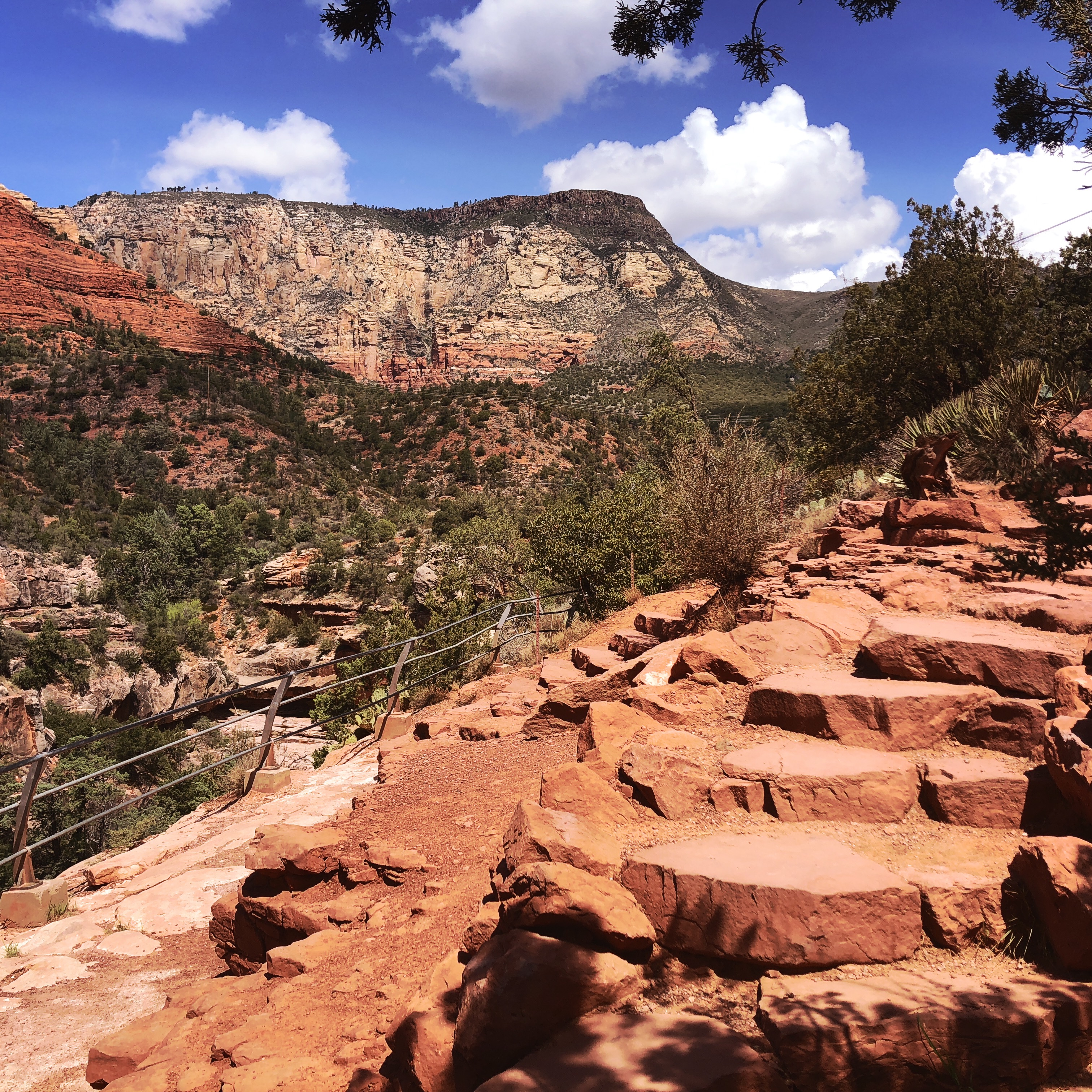 HipstamaticPhoto-556655445.625013