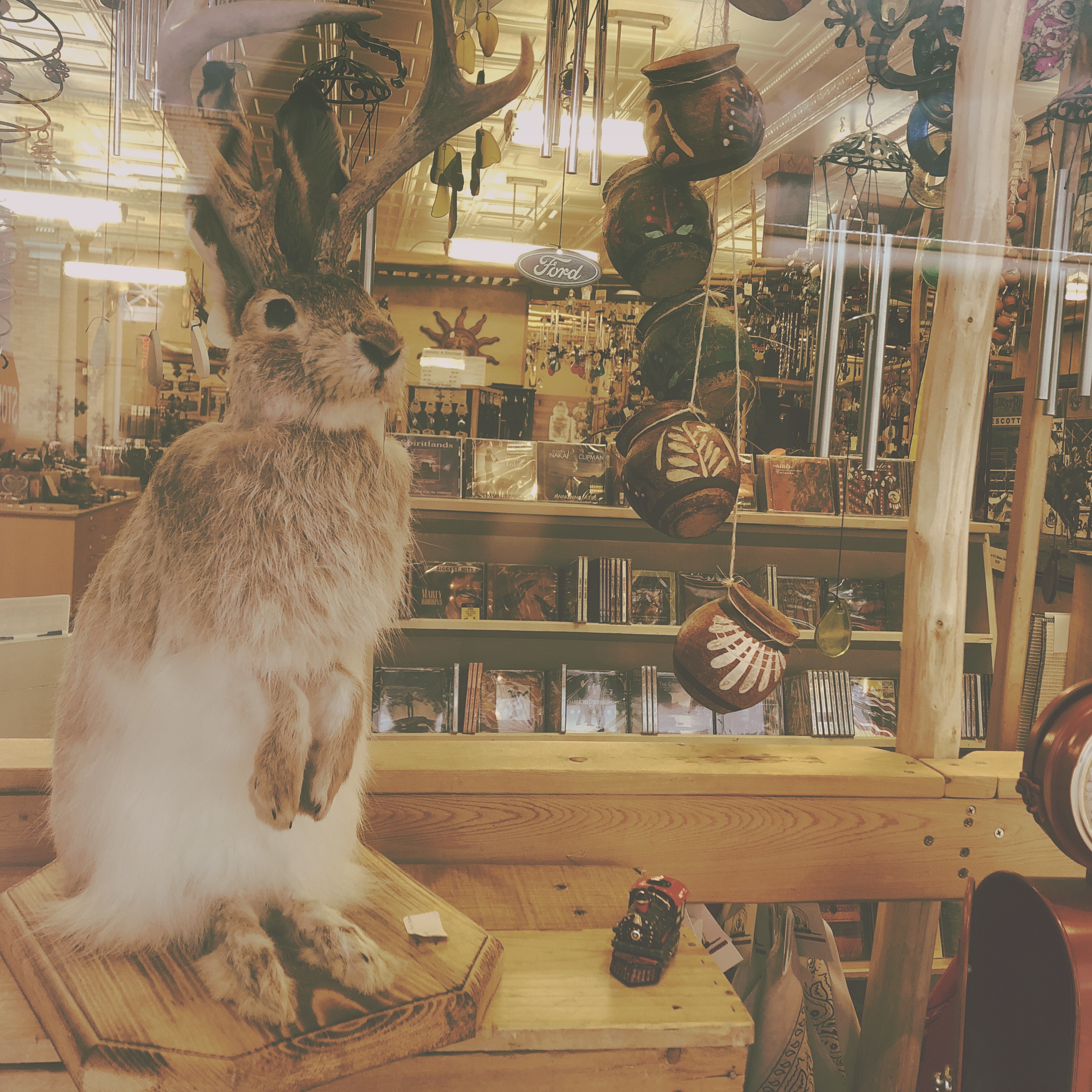 HipstamaticPhoto-556667614.249735