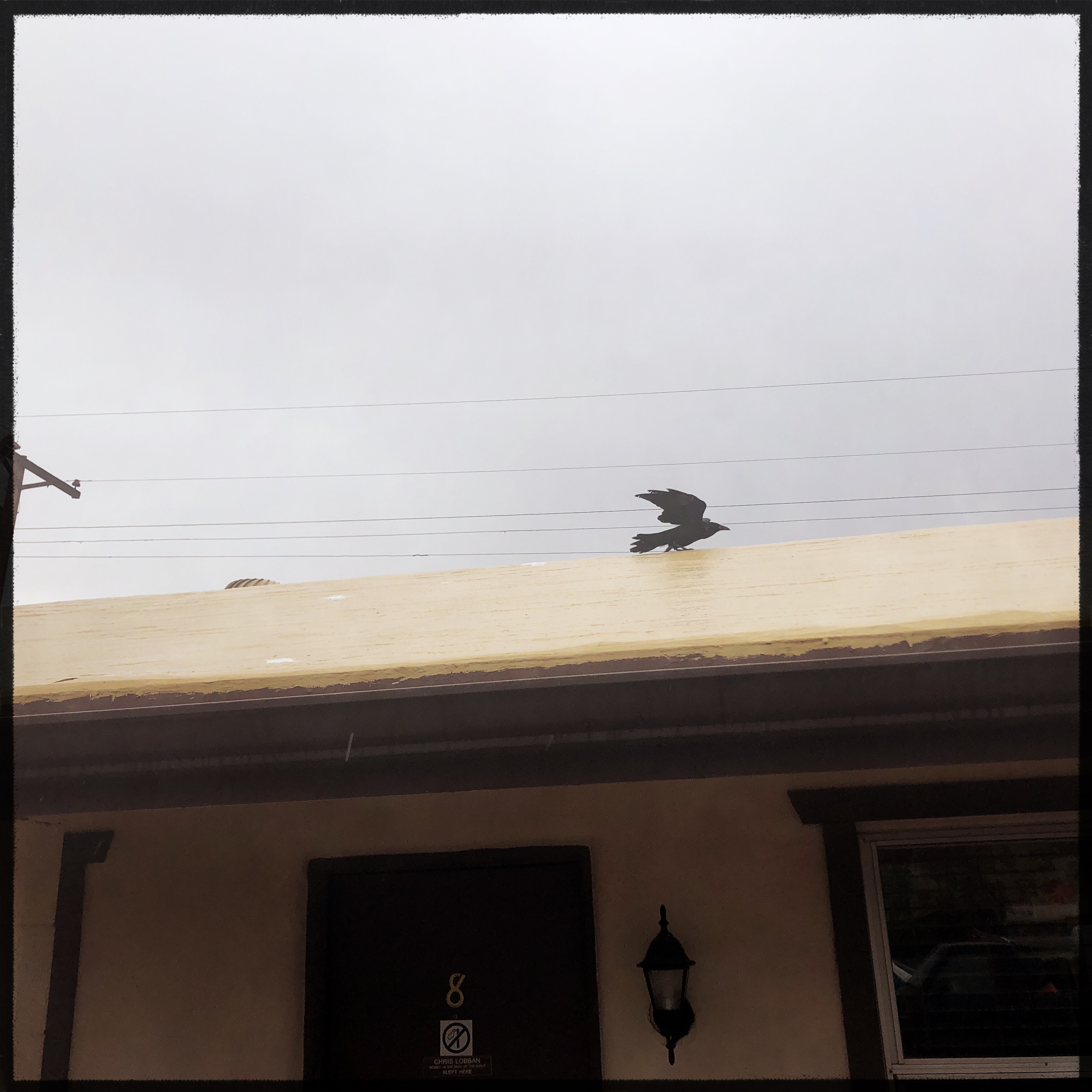 HipstamaticPhoto-556673713.154780