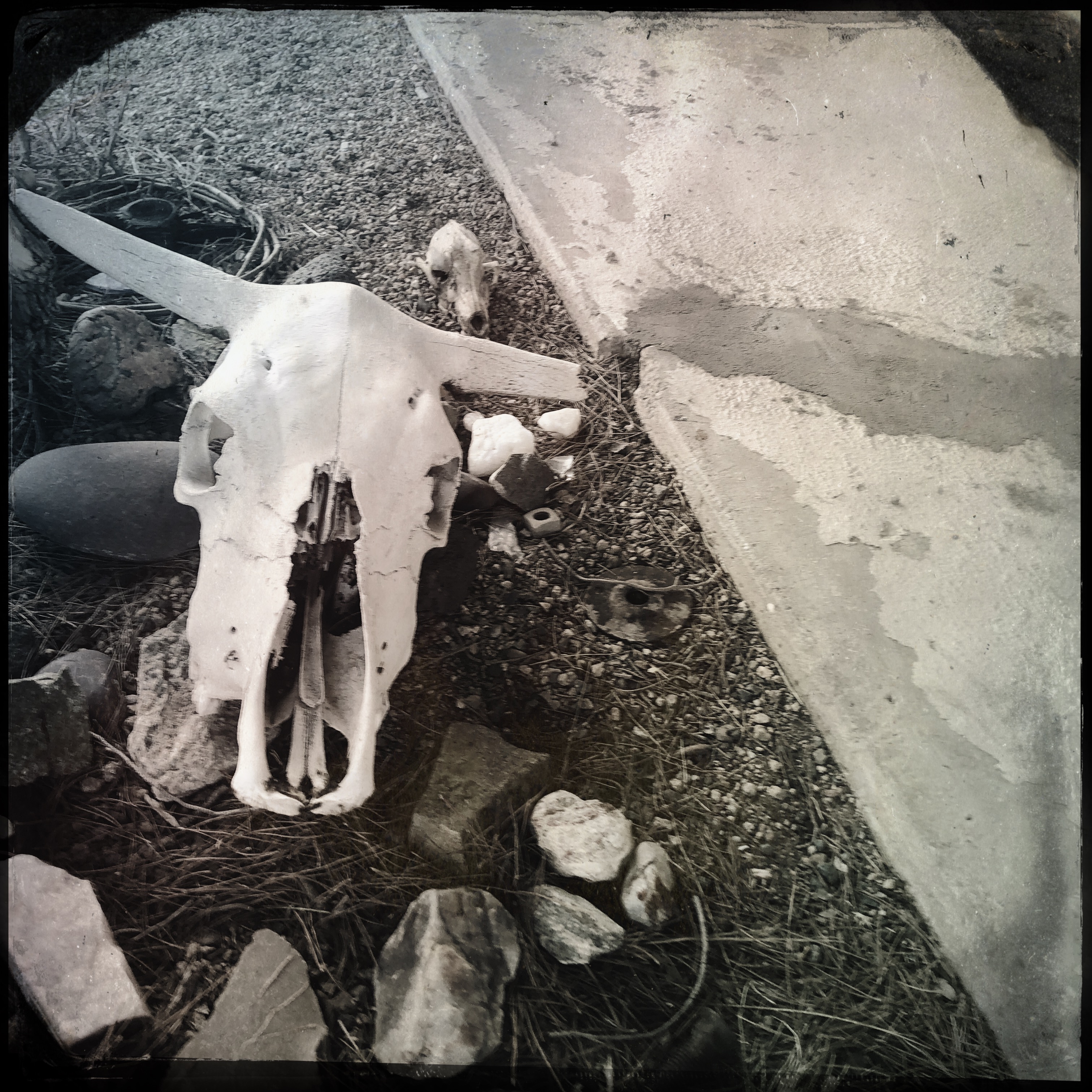 HipstamaticPhoto-556677856.944433