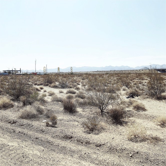 HipstamaticPhoto-556737010.496361