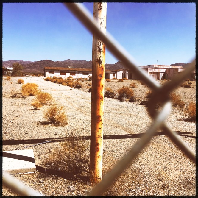 HipstamaticPhoto-556740261.868346