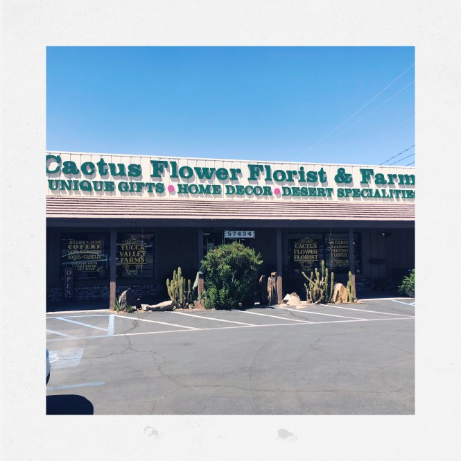 HipstamaticPhoto-556750542.981747