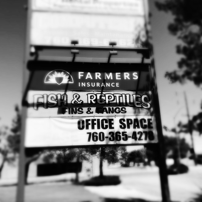 HipstamaticPhoto-556750802.497015