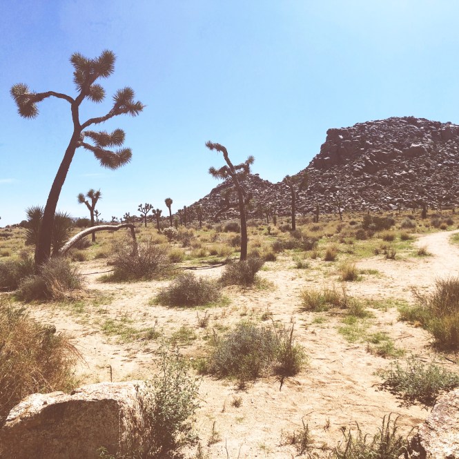 HipstamaticPhoto-556752398.090030