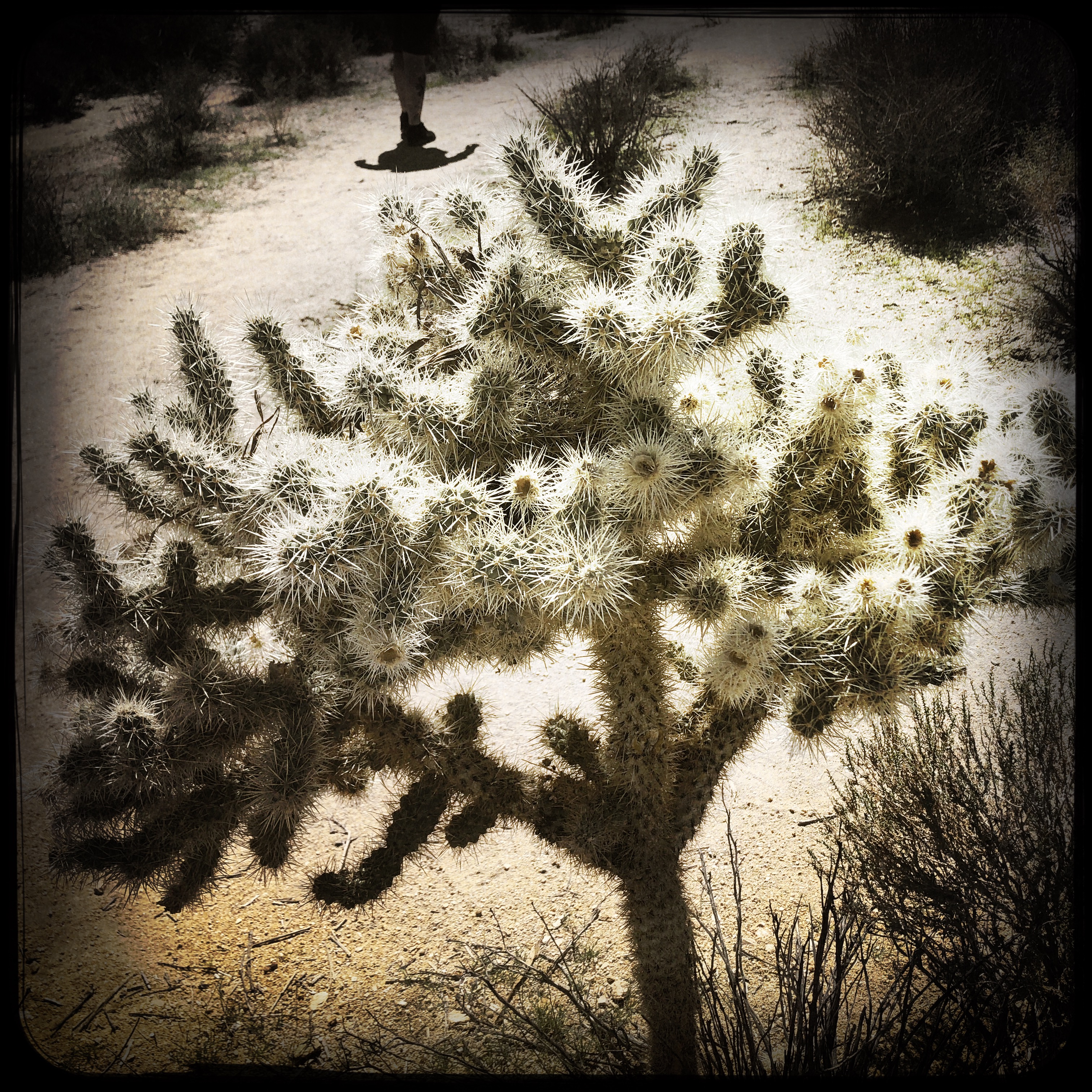 HipstamaticPhoto-556752756.722738