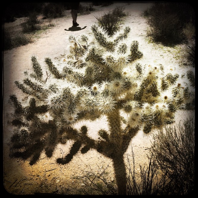 HipstamaticPhoto-556752756.722738