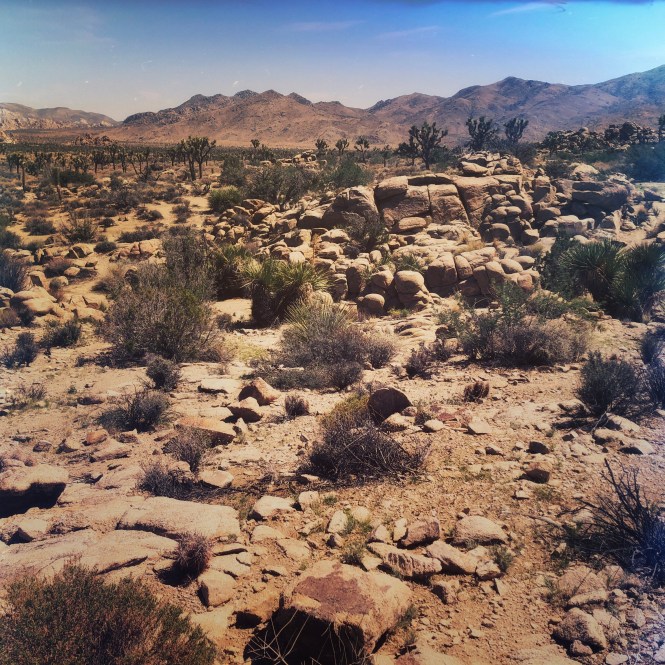 HipstamaticPhoto-556752941.350184