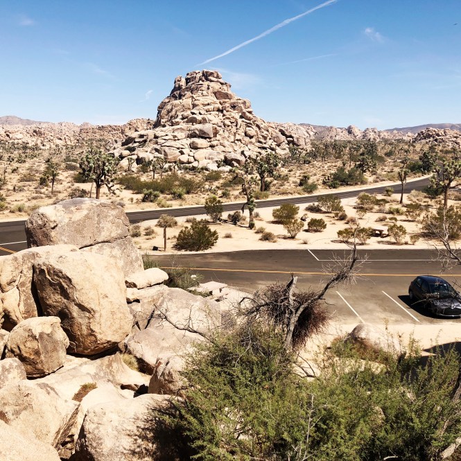 HipstamaticPhoto-556753891.910655