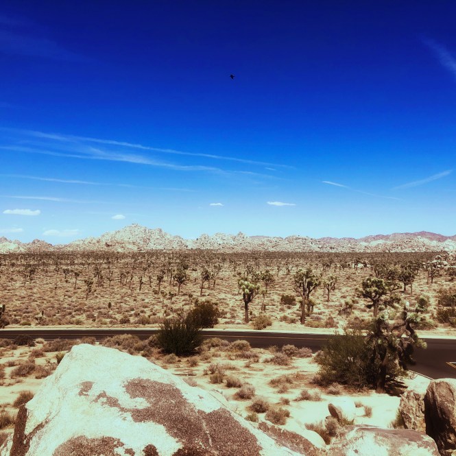 HipstamaticPhoto-556753898.432204