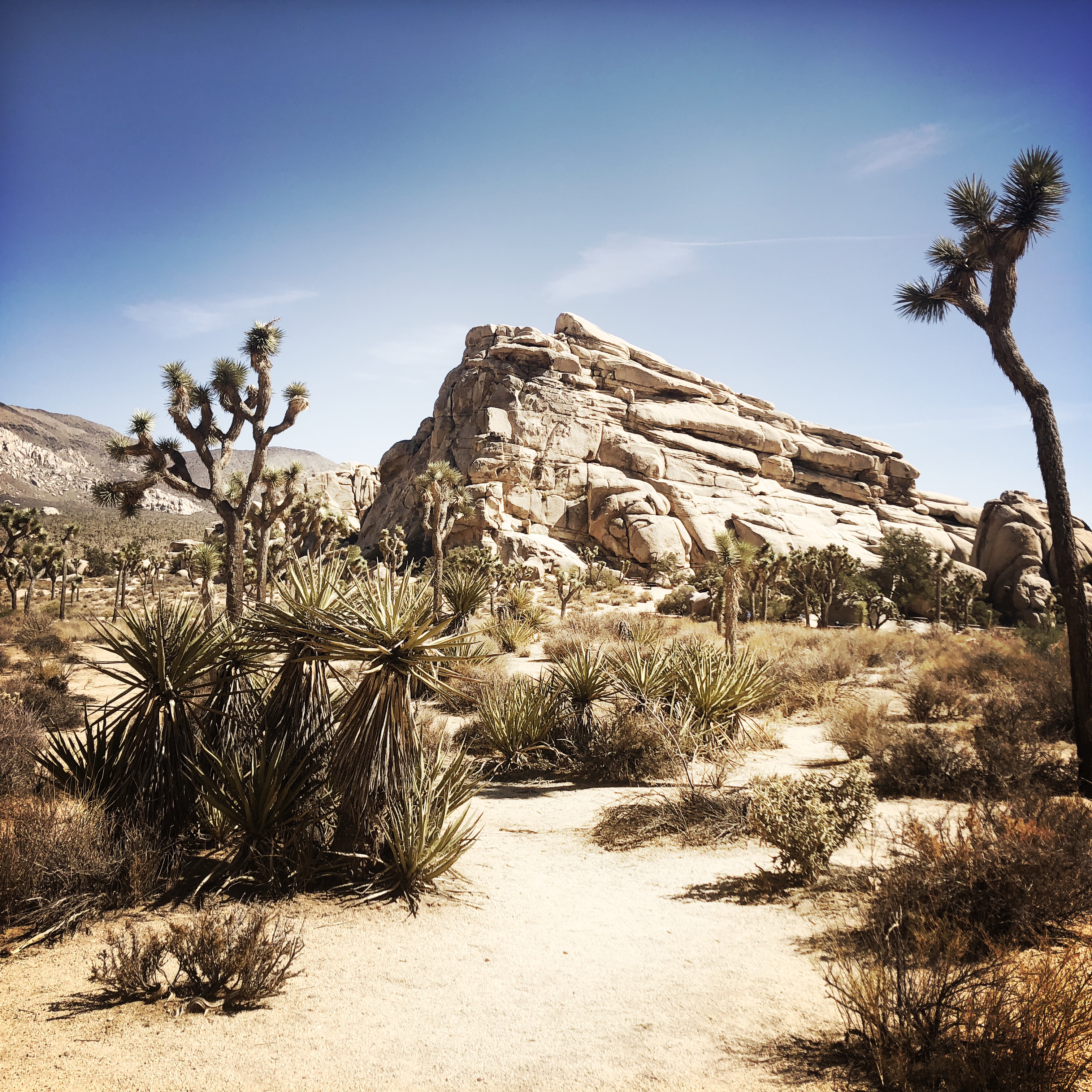 HipstamaticPhoto-556754869.237779