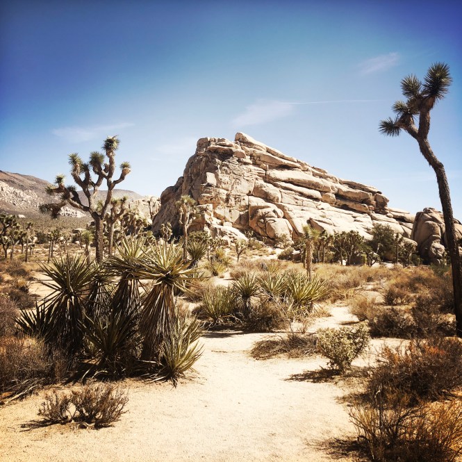 HipstamaticPhoto-556754869.237779