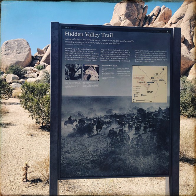 HipstamaticPhoto-556754927.664609