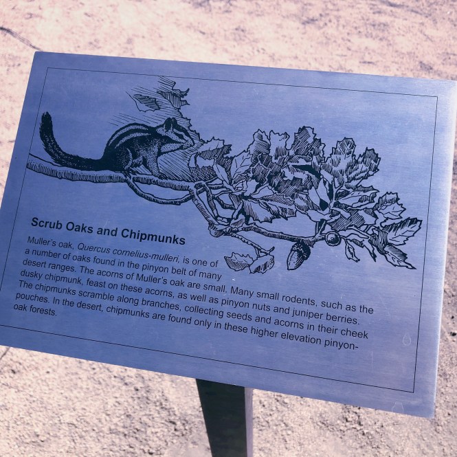 HipstamaticPhoto-556755368.067713