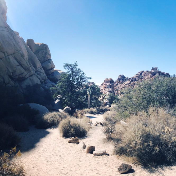 HipstamaticPhoto-556755393.550686