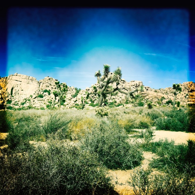 HipstamaticPhoto-556755441.369213