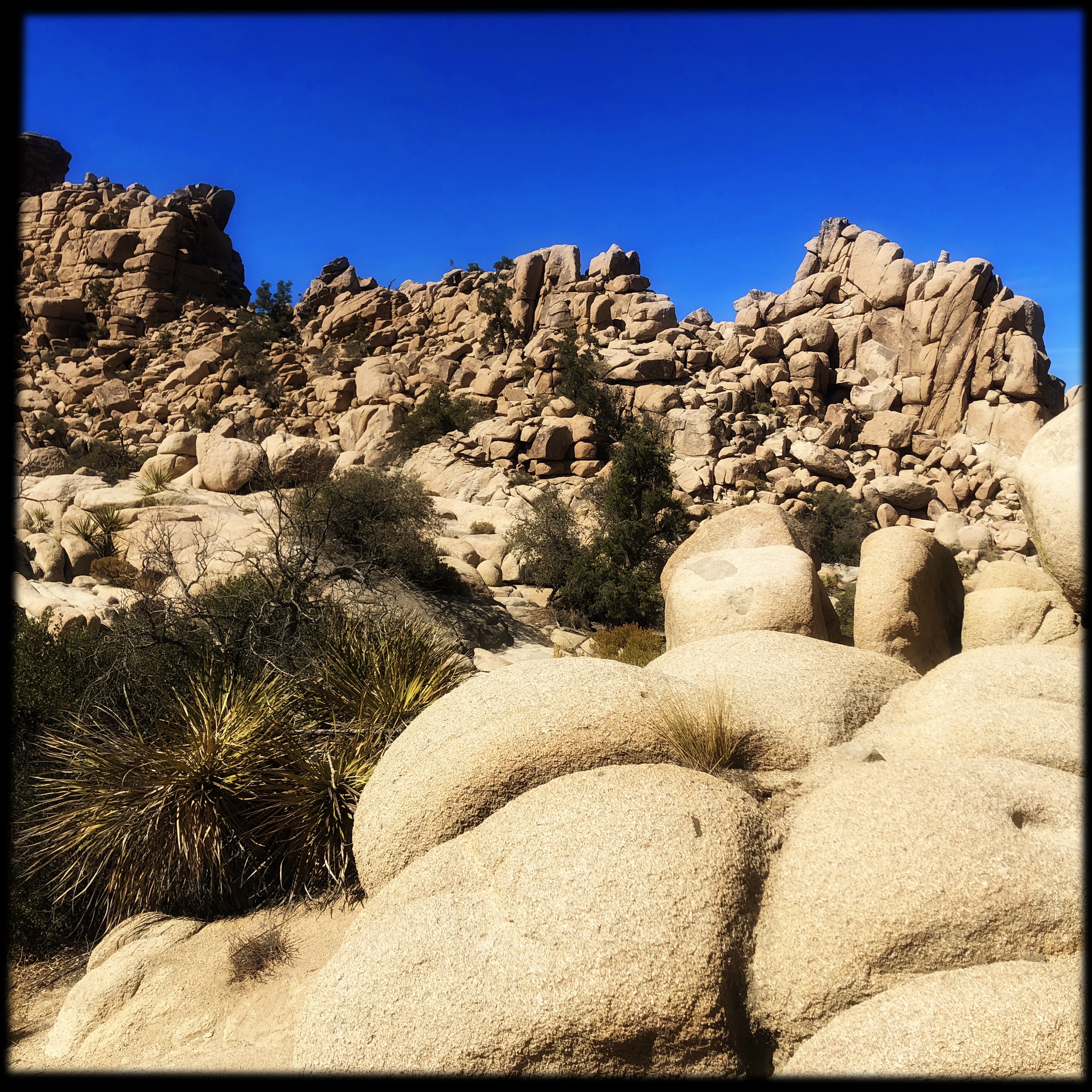 HipstamaticPhoto-556755772.661616