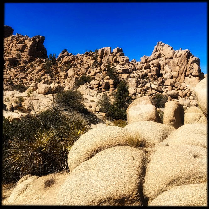 HipstamaticPhoto-556755772.661616