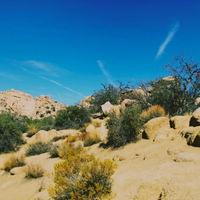 HipstamaticPhoto-556755793.687378