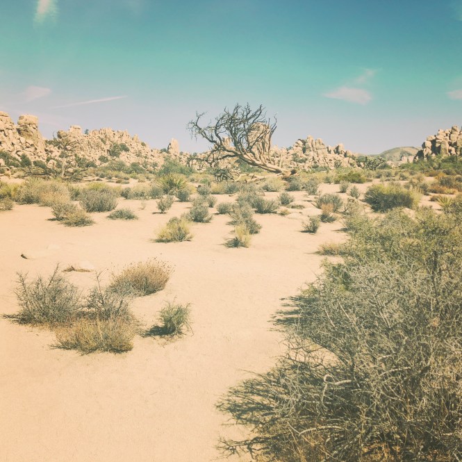 HipstamaticPhoto-556756021.054292