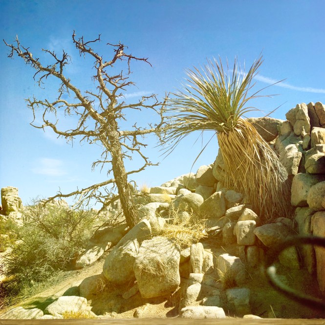 HipstamaticPhoto-556756162.404512