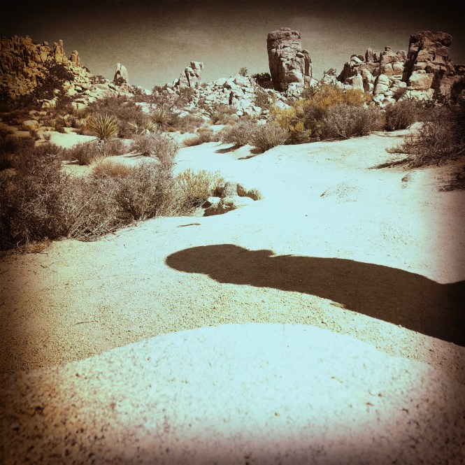 HipstamaticPhoto-556756279.325143