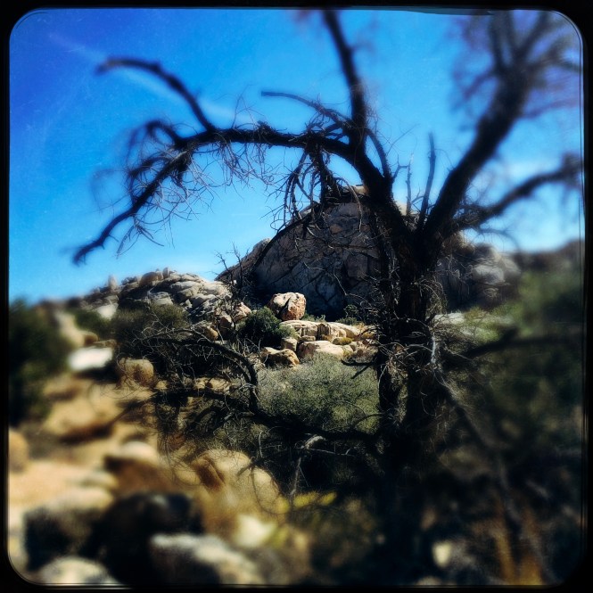 HipstamaticPhoto-556756291.326889