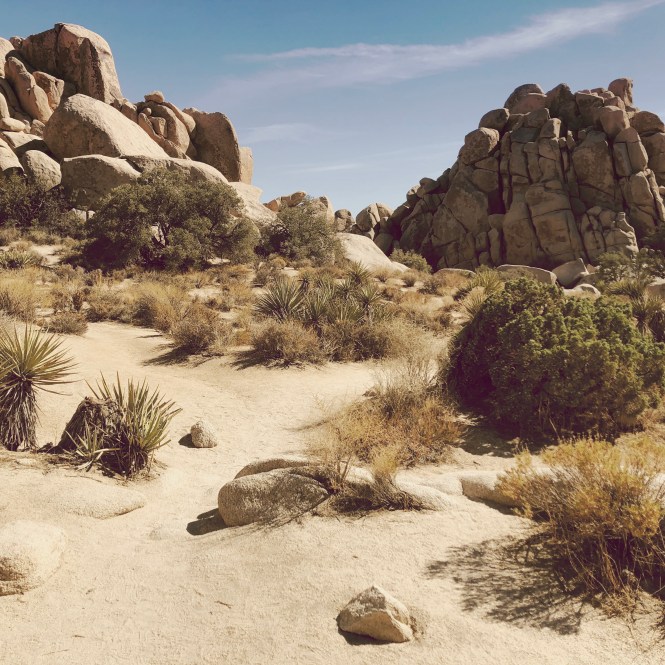 HipstamaticPhoto-556756834.185079