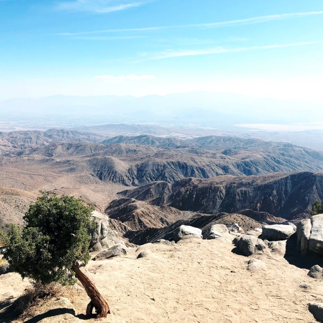 HipstamaticPhoto-556758298.610899