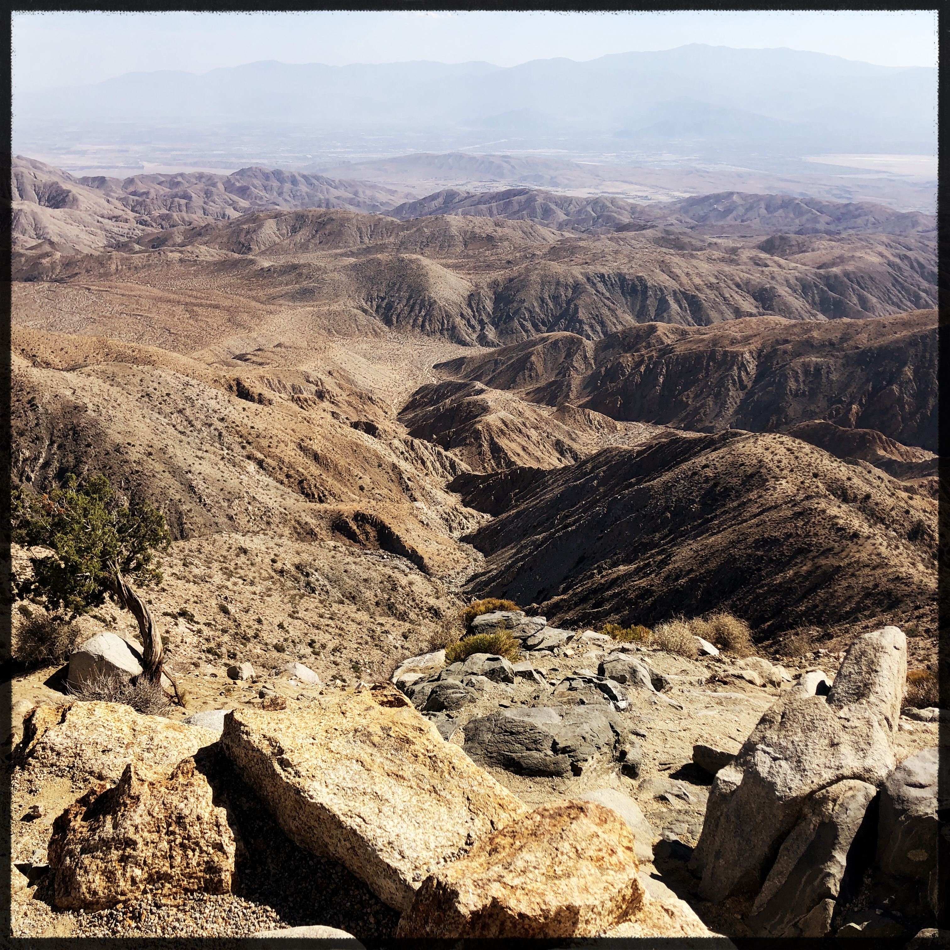 HipstamaticPhoto-556758360.458914