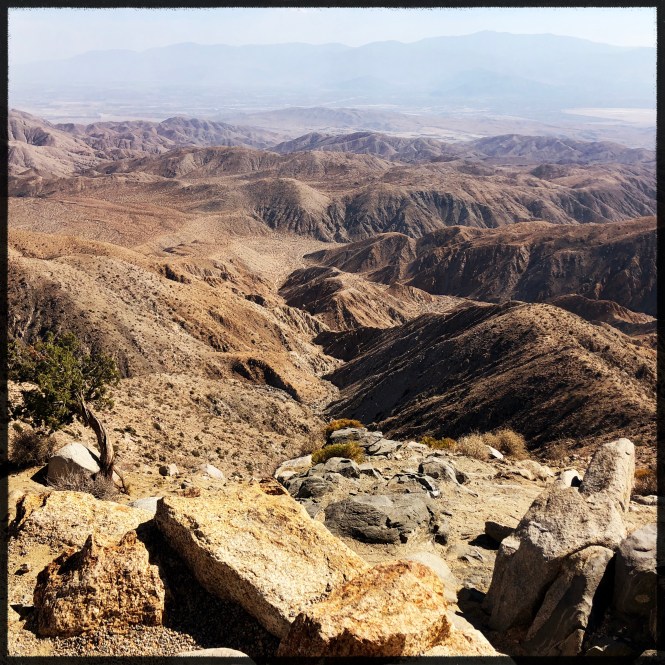 HipstamaticPhoto-556758360.458914