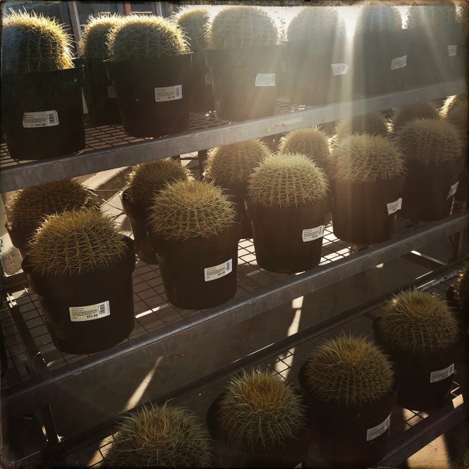 HipstamaticPhoto-556765365.015195