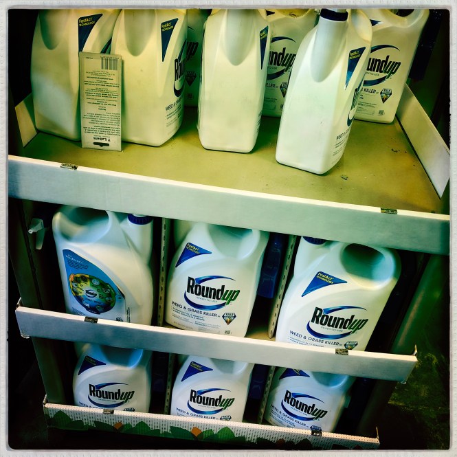 HipstamaticPhoto-556765511.750290