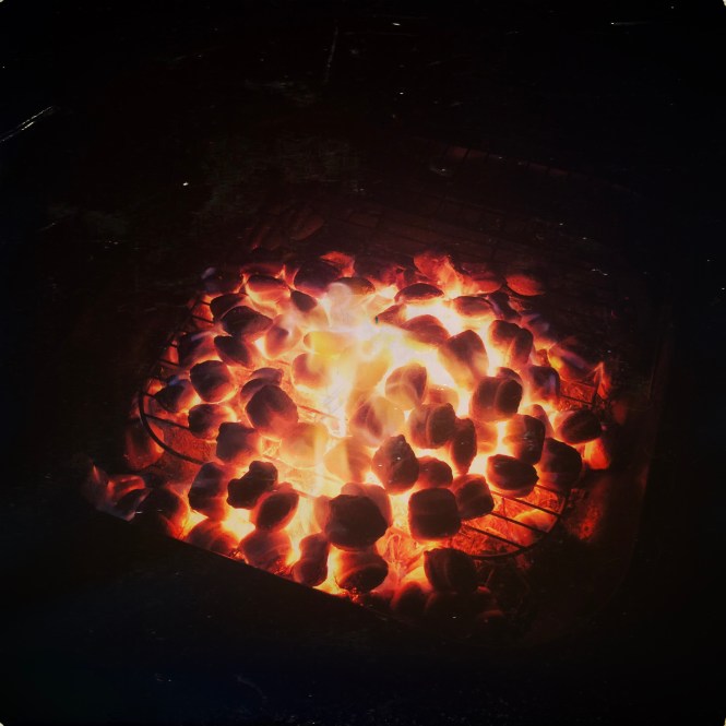 HipstamaticPhoto-556773495.143320