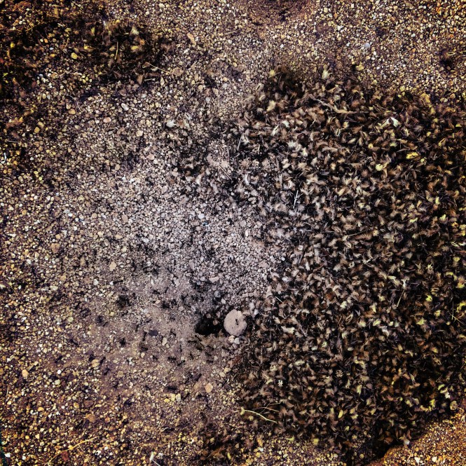 HipstamaticPhoto-556810769.034437