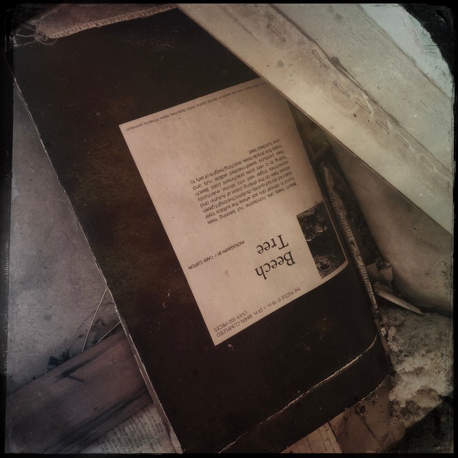 HipstamaticPhoto-556811297.222924