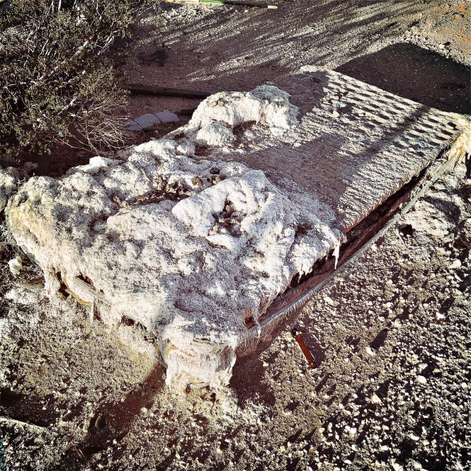 HipstamaticPhoto-556811468.626110