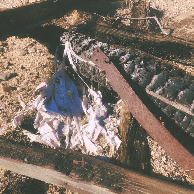 HipstamaticPhoto-556818716.148454